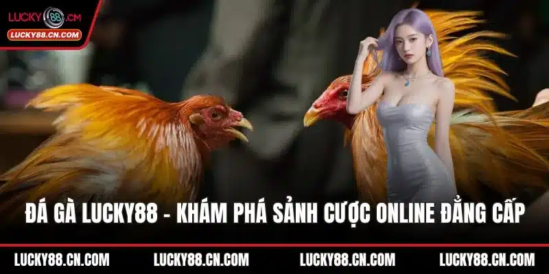 Đá Gà LUCKY88 - Khám Phá Sảnh Cược Online Đẳng Cấp Nhất 1 Đá gà LUCKY88